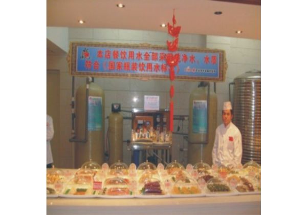 南阳酒店用反渗透纯净水生产设备